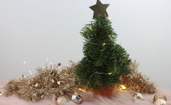 Kleiner Weihnachtsbaum aus Tannenzweigen in einem Terracotta Topf.