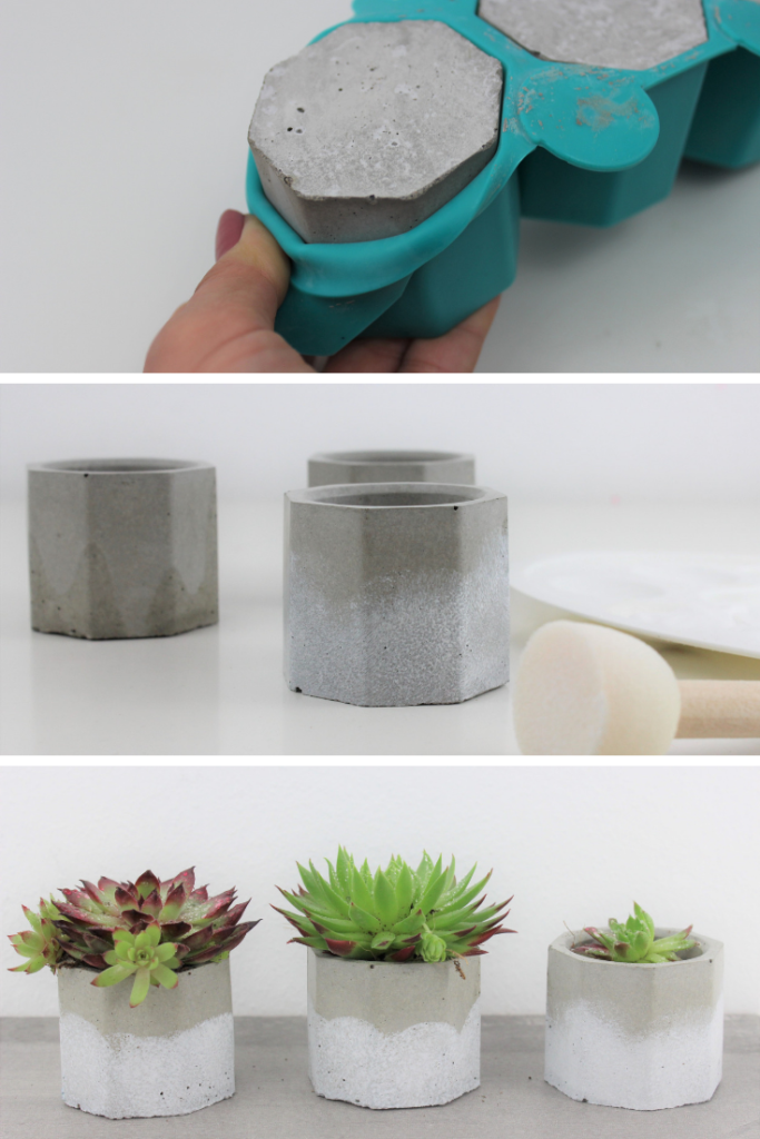 DIY Beton Blumentöpfe ganz einfach selber machen