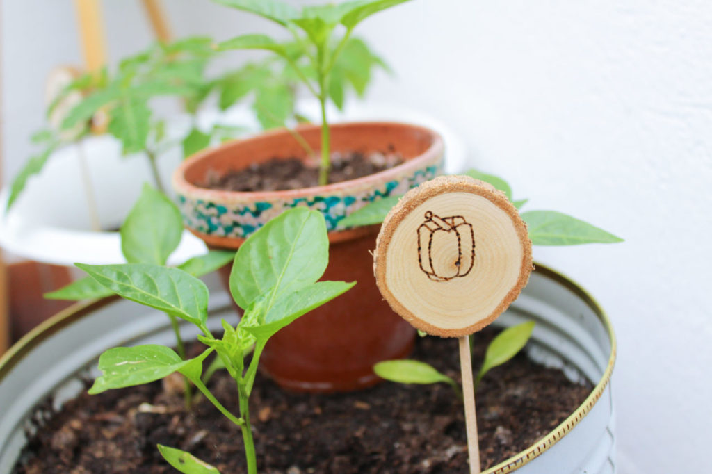 Bastelanleitung für DIY Blumenstecker