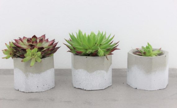 DIY Beton Blumentöpfe basteln